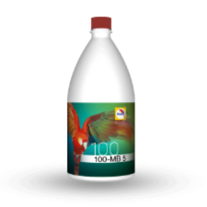 100-mb-5